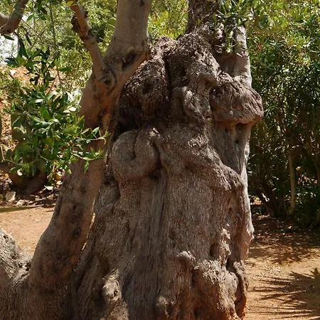 The Architect 住宿加早餐酒店