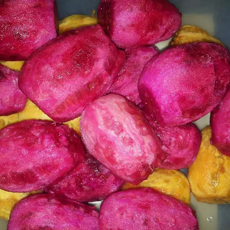 住宿加早餐酒店 The Architect