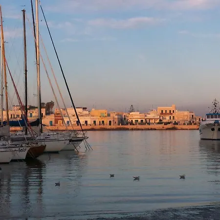 The Architect 巴里