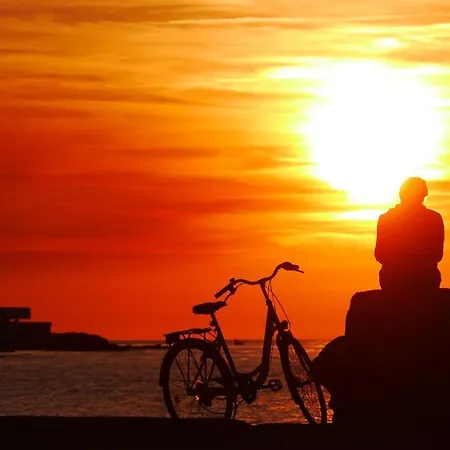 The Architect 3* 巴里