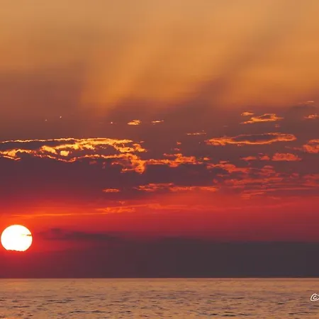 The Architect 巴里