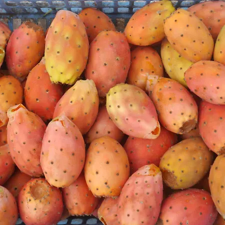 住宿加早餐酒店 The Architect