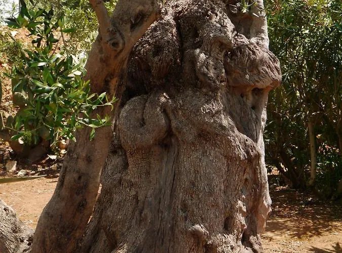 The Architect Frühstückspension