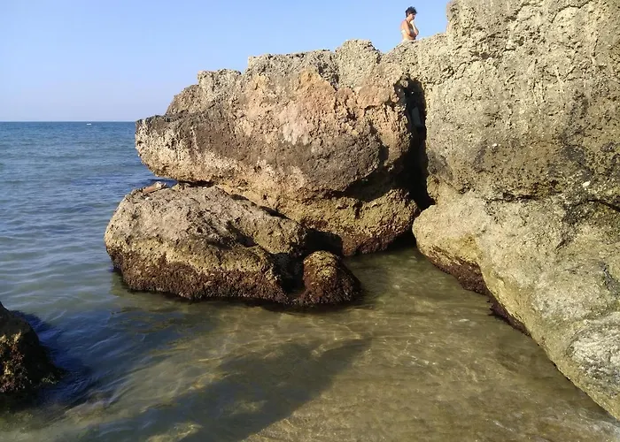 Panzió The Architect