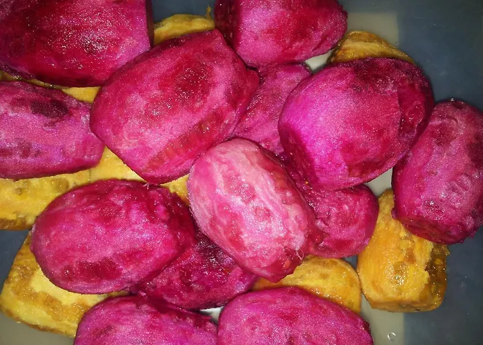 Panzió The Architect