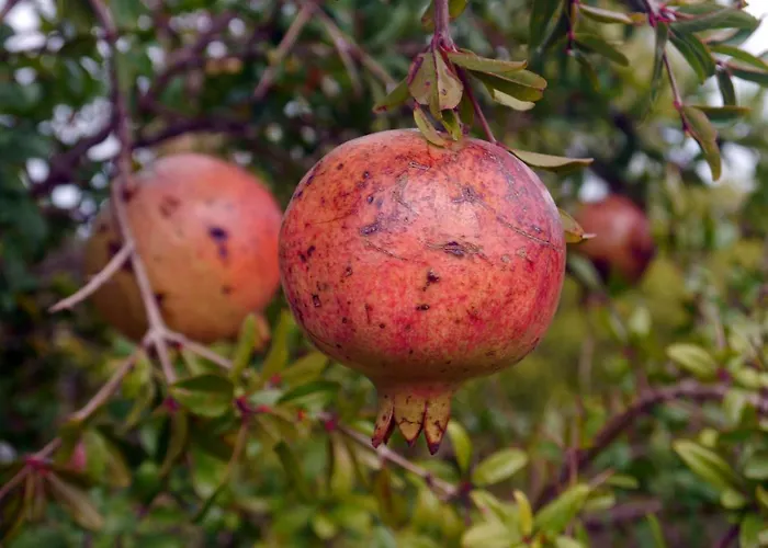 The Architect 4* Bari