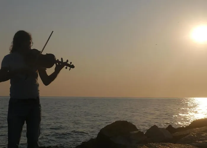 Panzió The Architect