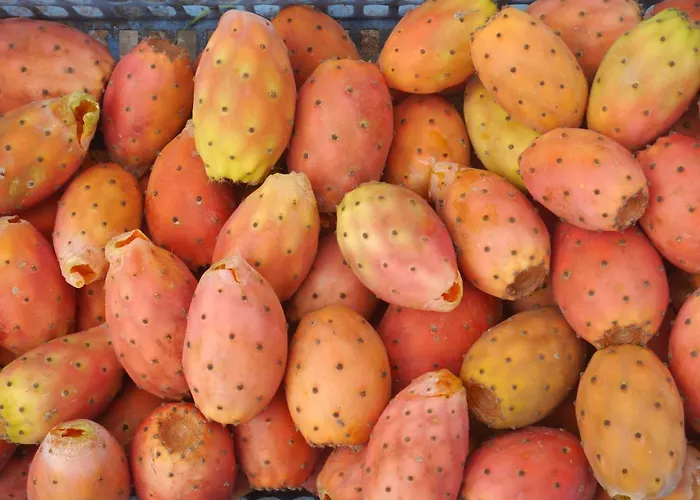 Panzió The Architect